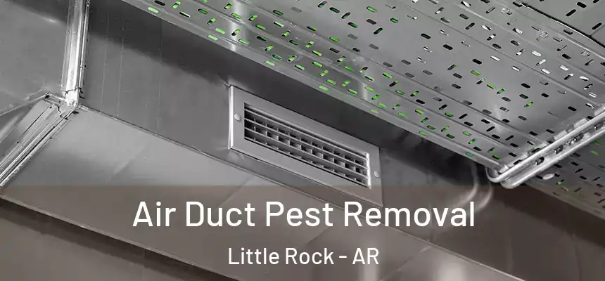 Air Duct Pest Removal Little Rock - AR