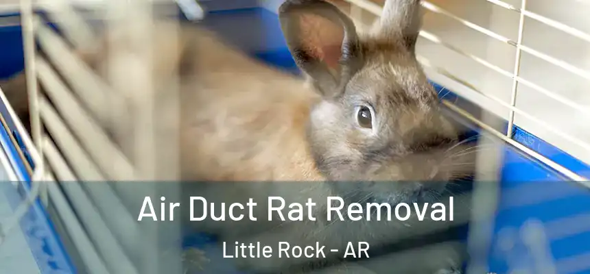 Air Duct Rat Removal Little Rock - AR