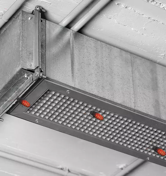 Affordable Insect Removal from Air Ducts in Little Rock, AR