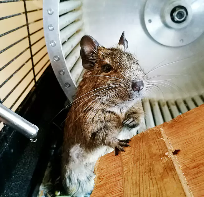 Why Homeowners & Businesses Trust Us Little Rock, AR