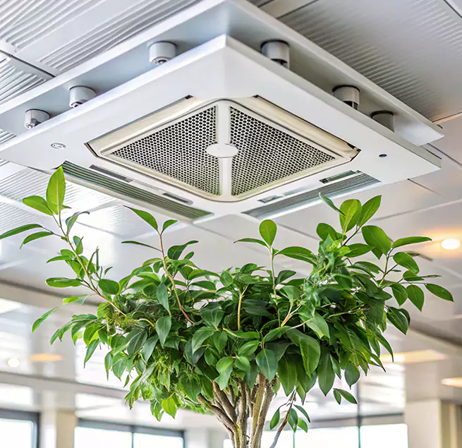 Why Homeowners & Businesses Trust Us in Little Rock, AR